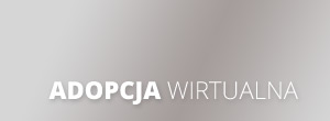 Adopcja wirtualna